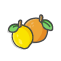 agrumi_icon