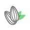 almond_3_icon