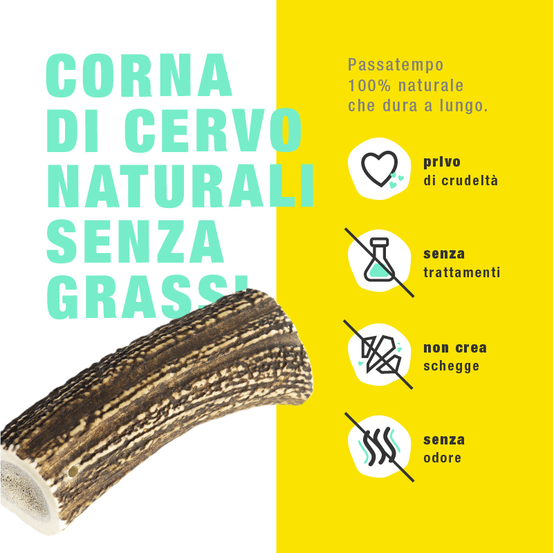 Corna di Cervo Masticabili - immagine 2