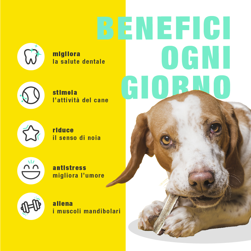 Corna di Cervo Masticabili - immagine 3