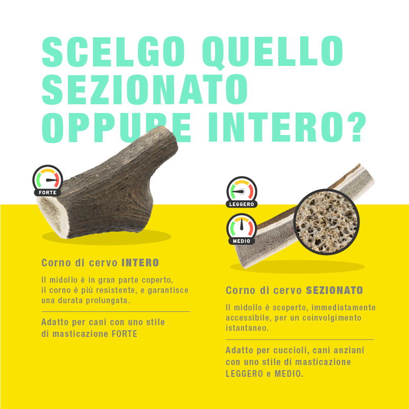 Corna di Cervo Masticabili - immagine 5