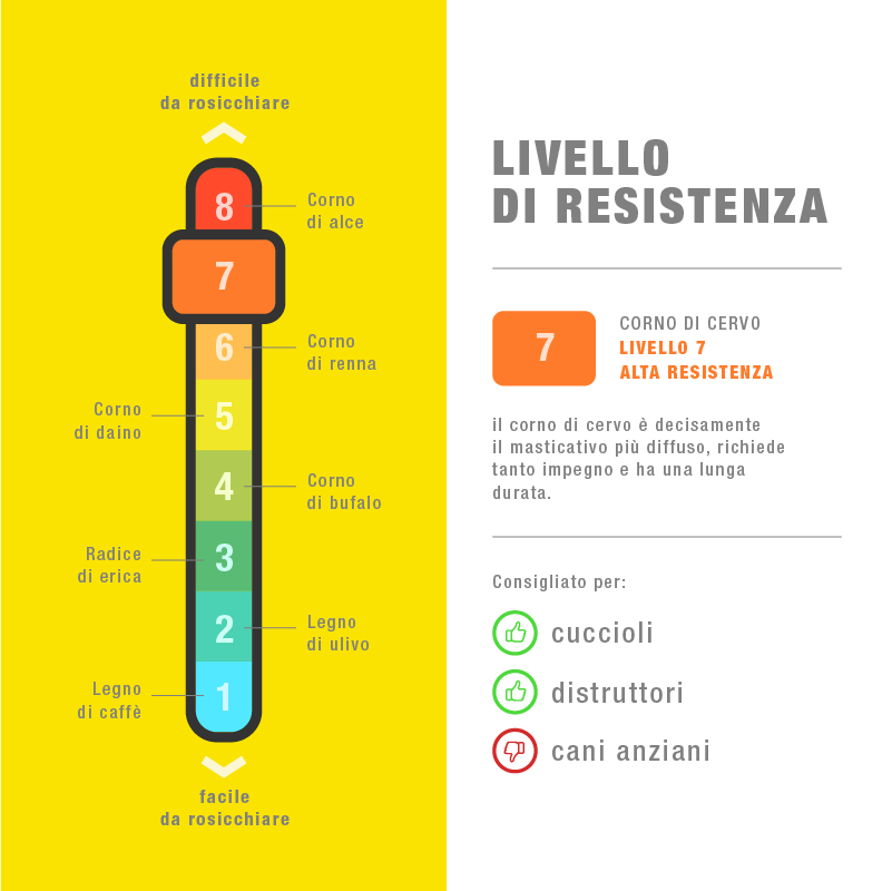 Corna di Cervo Masticabili - immagine 7