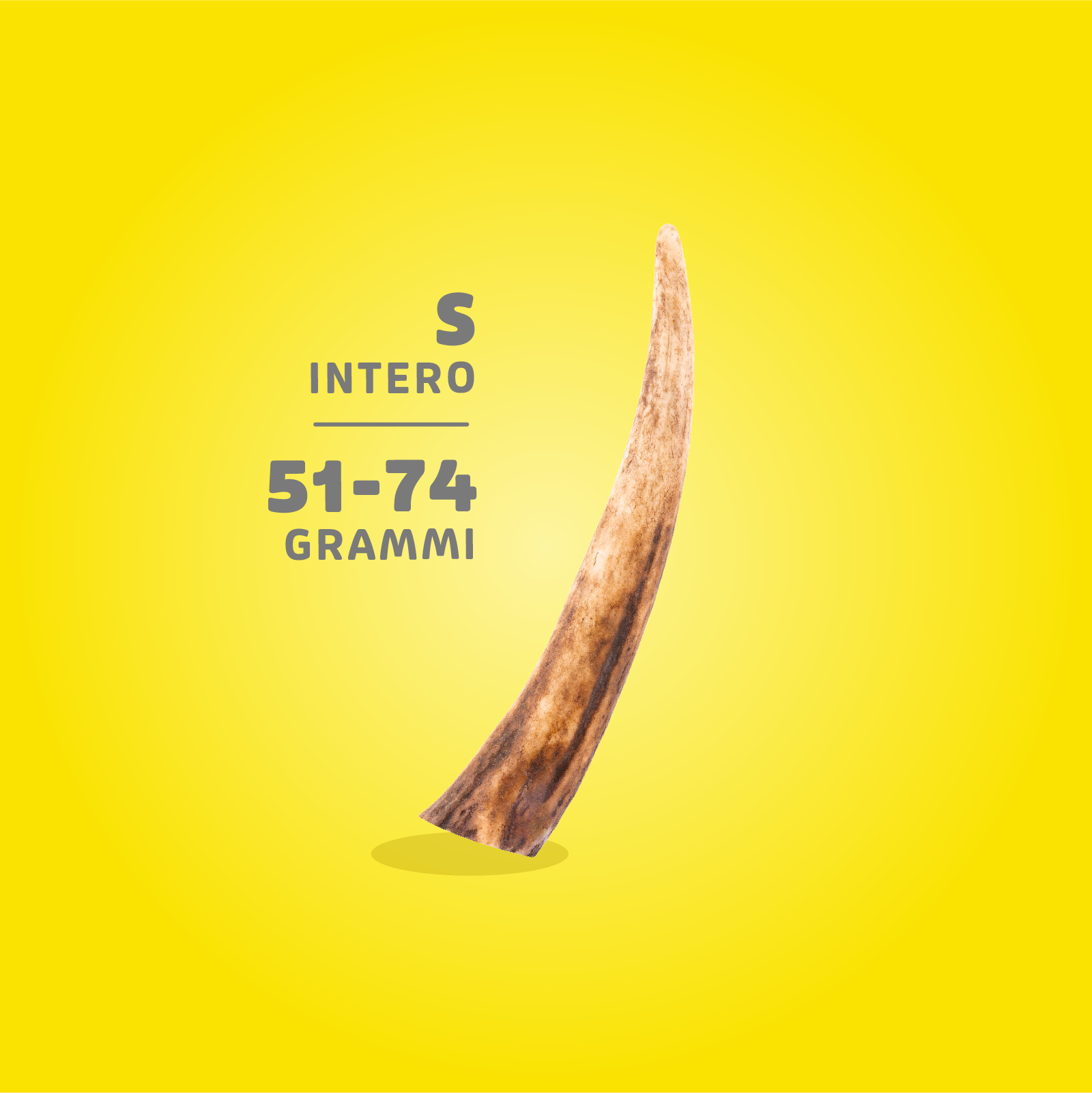 Corna di Cervo Masticabili - immagine 10