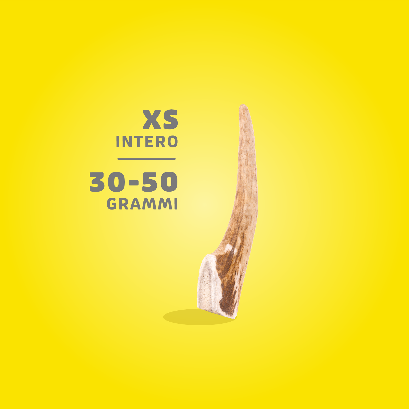 Corna di Cervo Masticabili - immagine 8