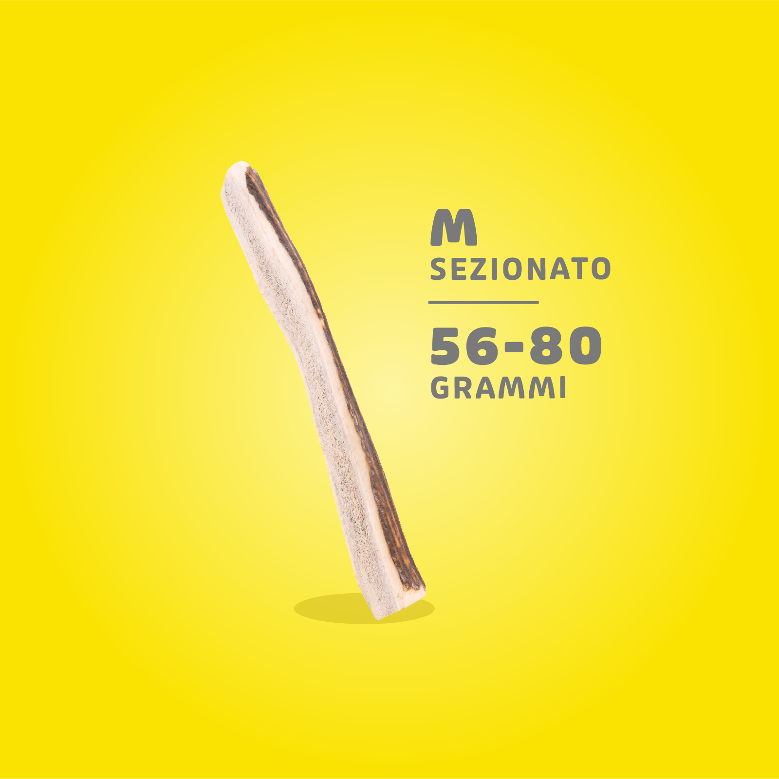 Corna di Cervo Masticabili - immagine 13