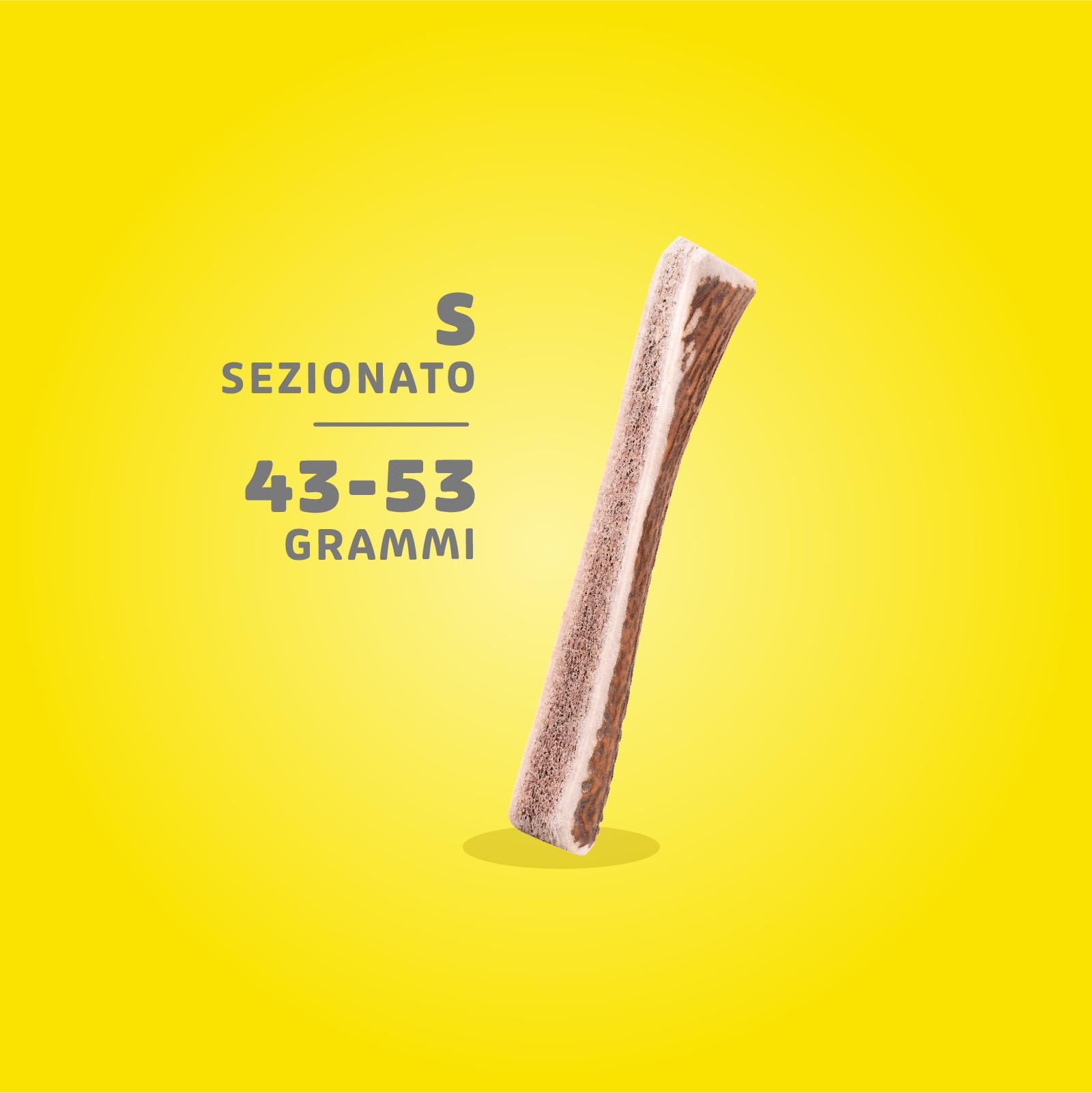 Corna di Cervo Masticabili - immagine 11