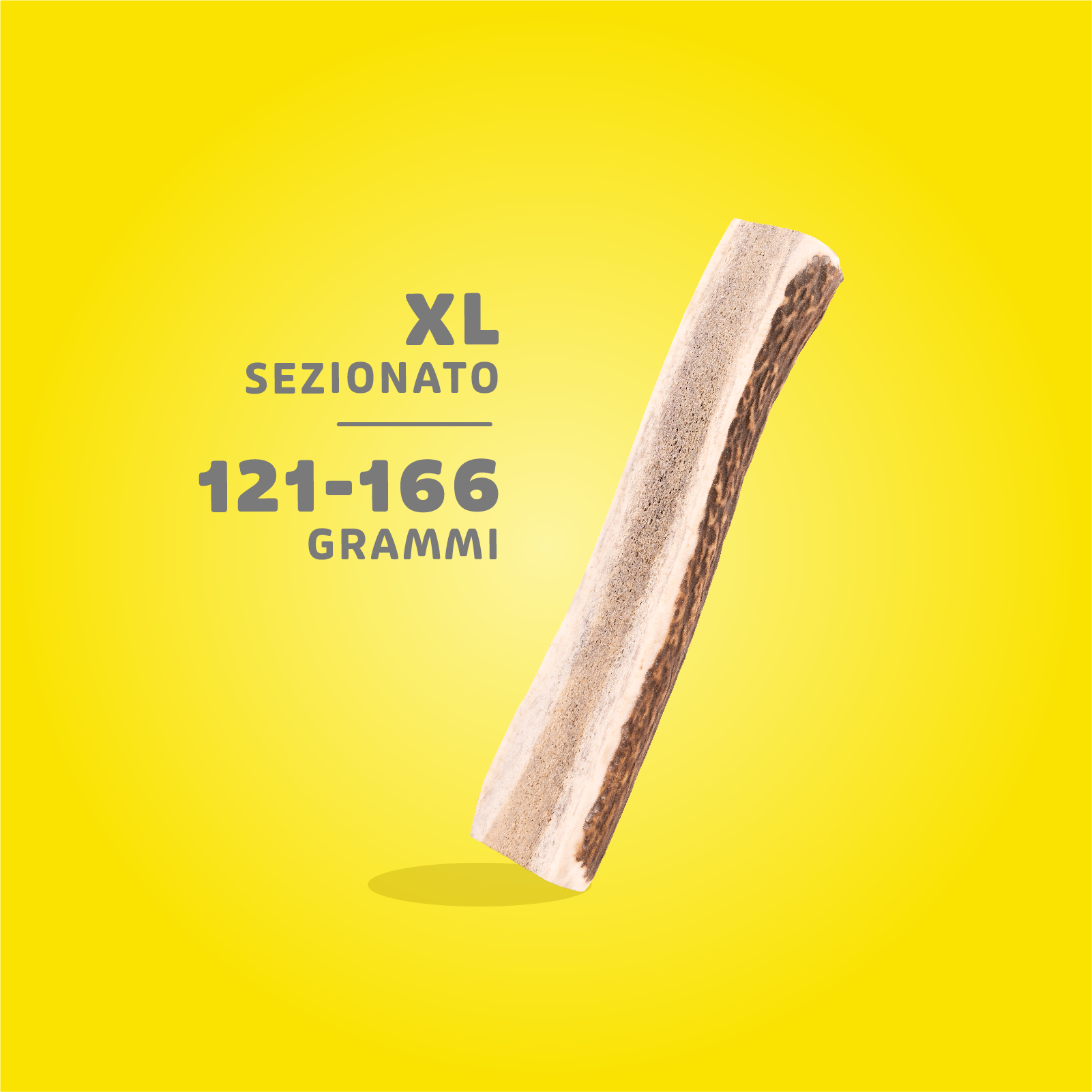 Corna di Cervo Masticabili - immagine 17