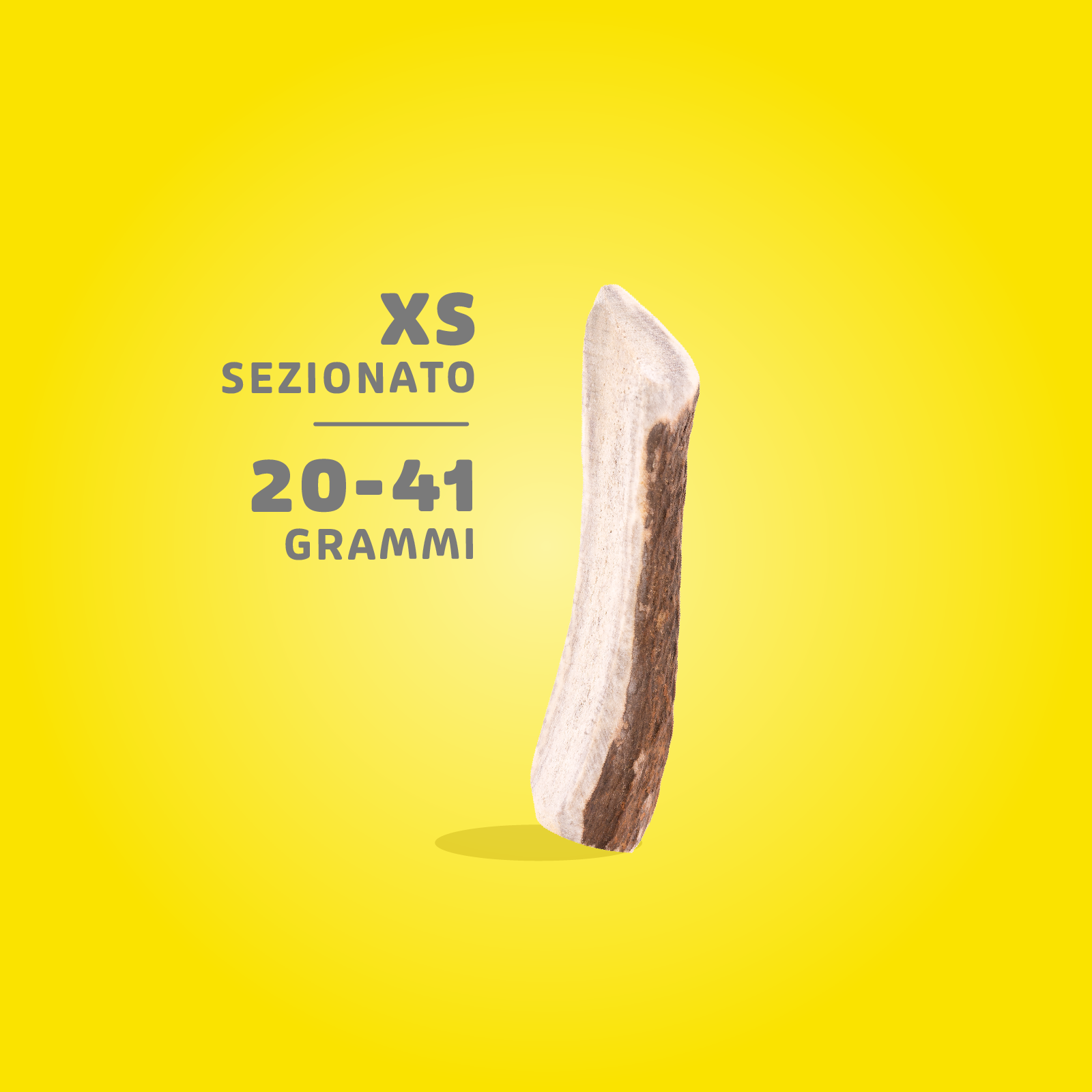 Corna di Cervo Masticabili - immagine 9