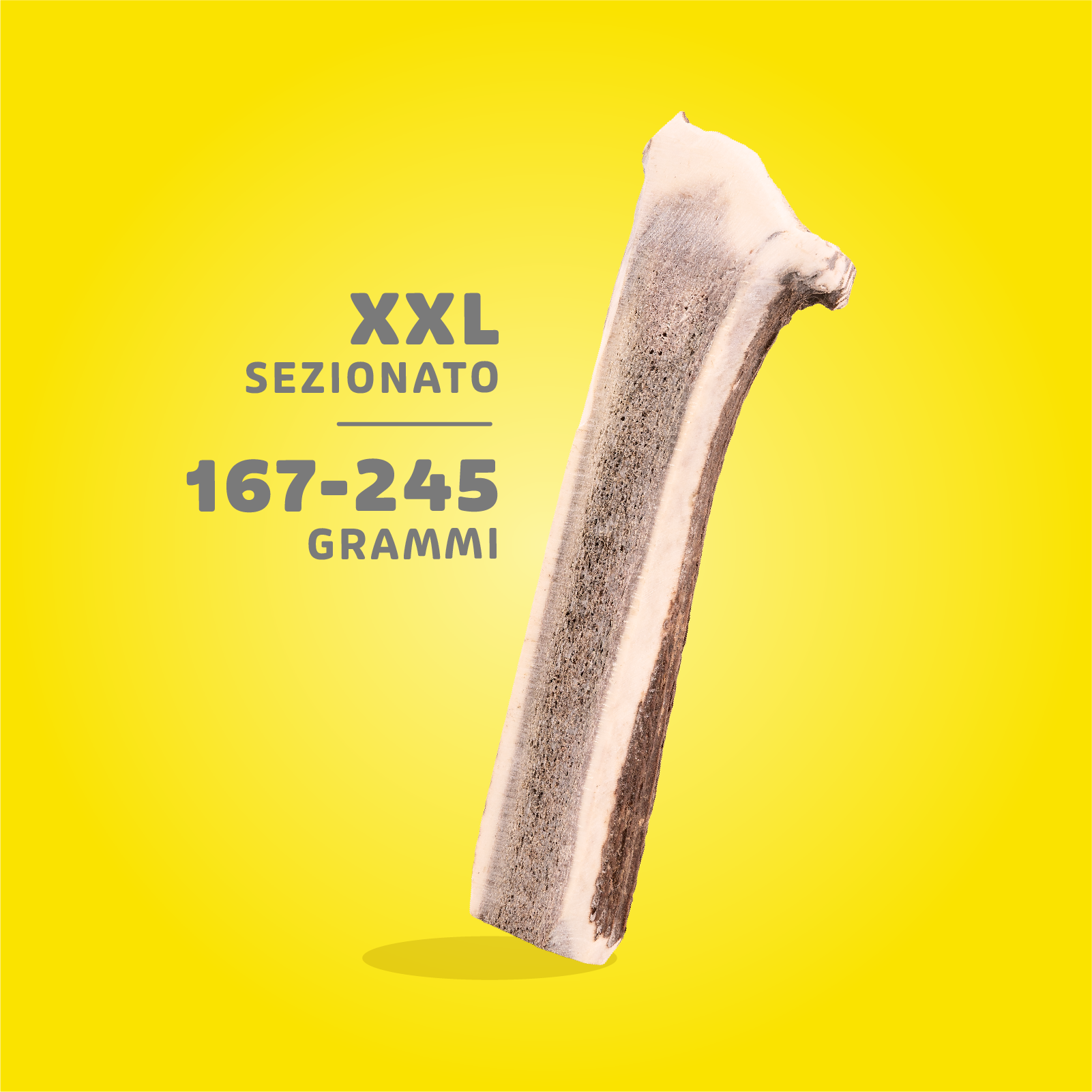 Corna di Cervo Masticabili - immagine 19