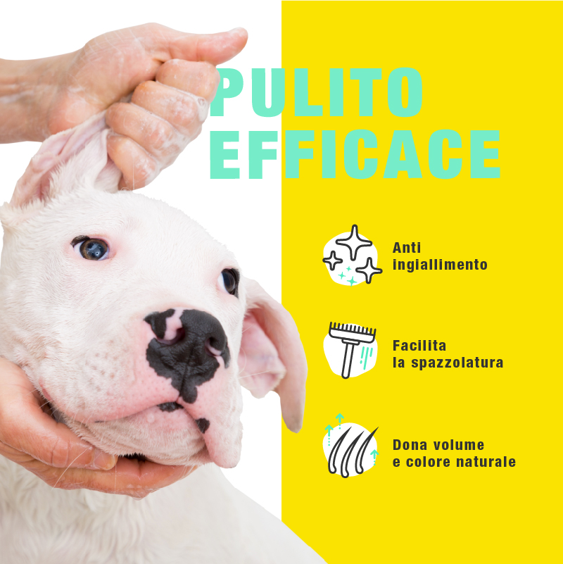 Shampoo Naturale Manti Bianchi - immagine 2