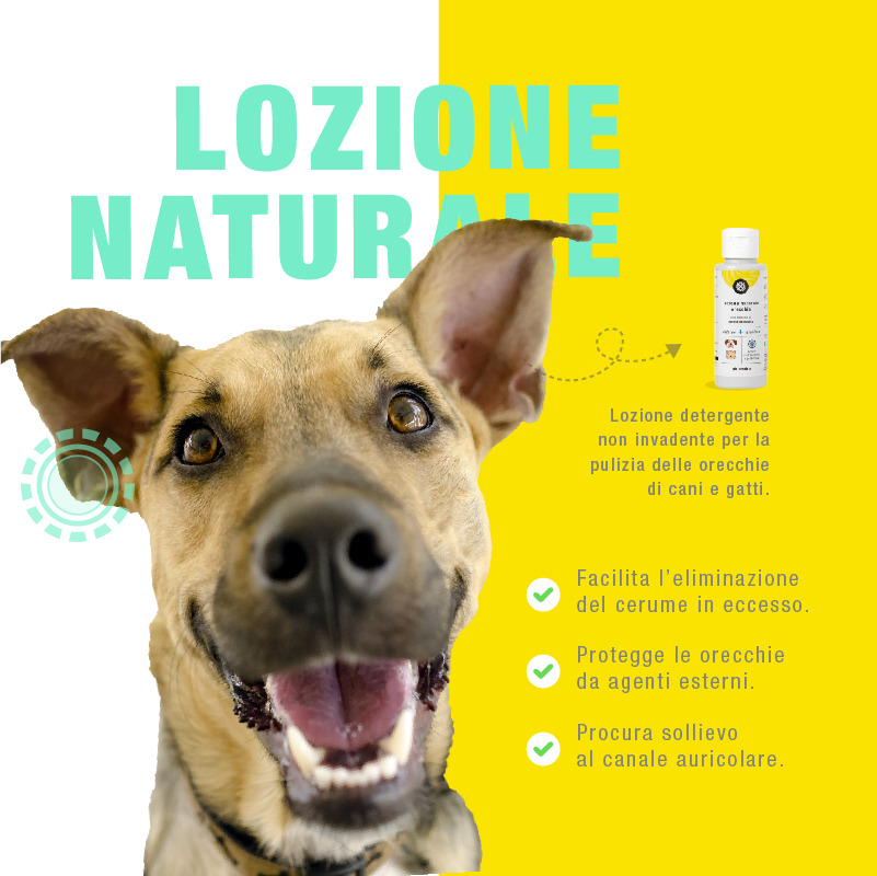 Lozione Naturale per Orecchie - immagine 2