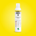 Shampoo Mousse Naturale a Secco