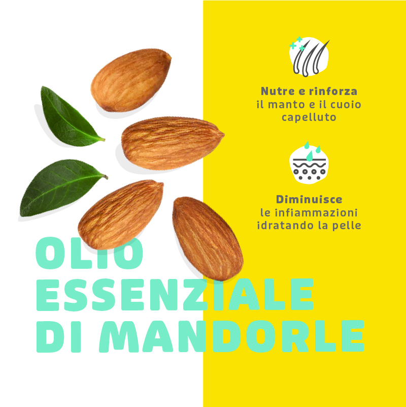 Shampoo Mousse Naturale a Secco - immagine 3