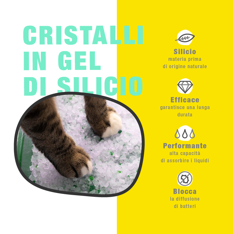 Lettiera Igienica per Gatti in Silicio - immagine 4