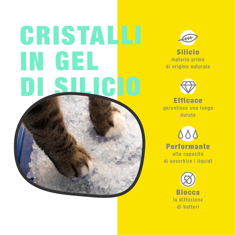 Lettiera Igienica per Gatti in Silicio - immagine 4