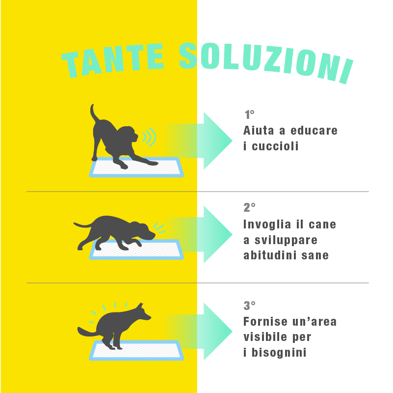 Tappetini Igienici Assorbenti - immagine 4