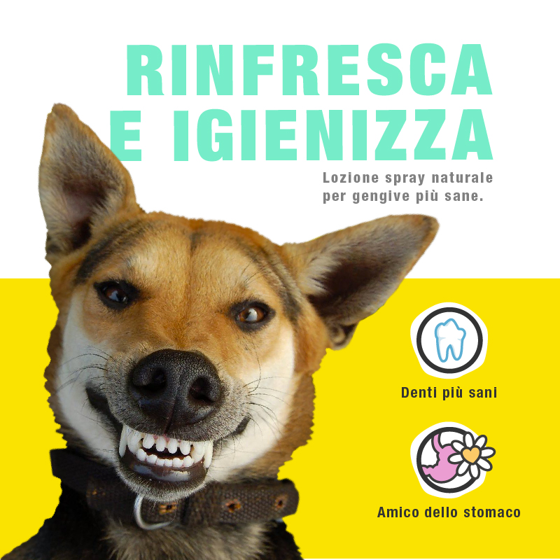 Dentifricio Spray Naturale - immagine 2