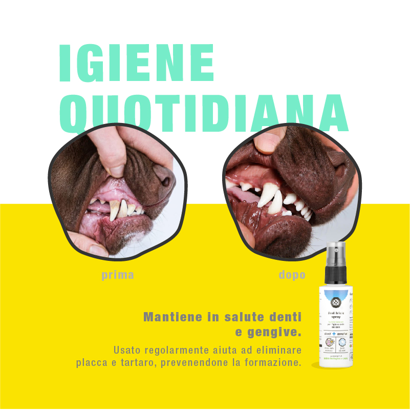 Dentifricio Spray Naturale - immagine 5