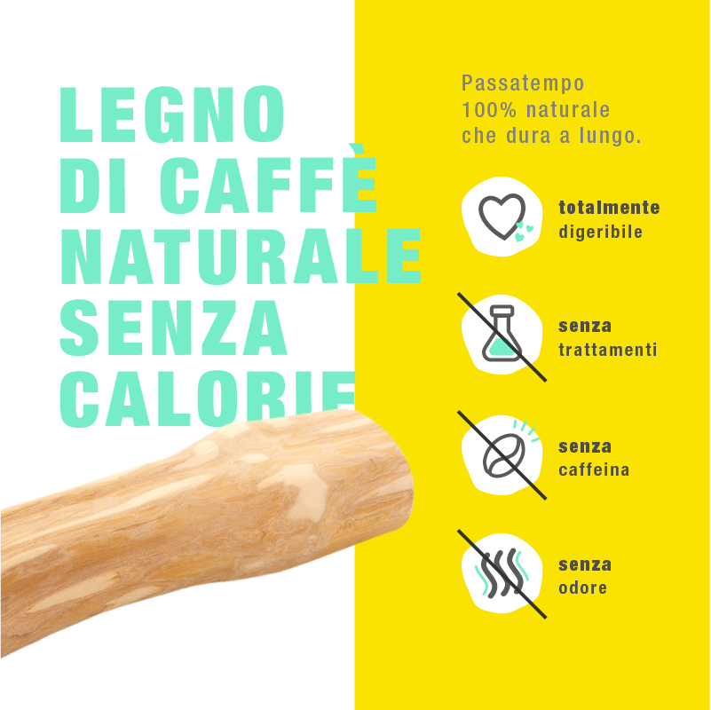 Legno di Caffè Masticabile - immagine 3