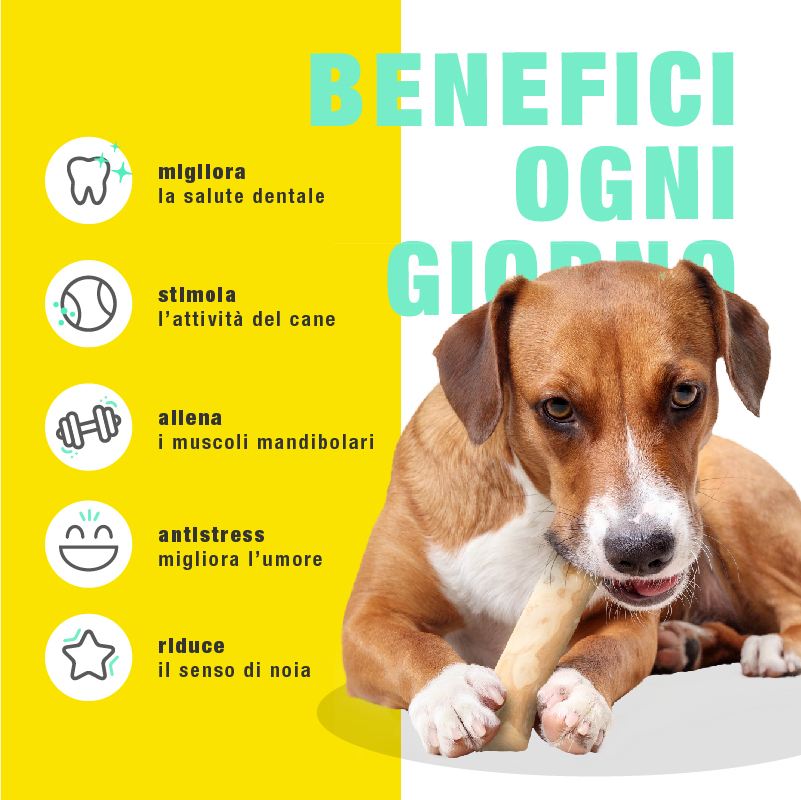 Legno di Caffè Masticabile - immagine 2