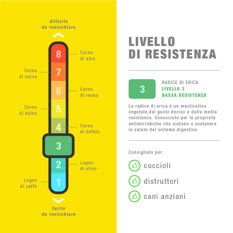 Radice di Erica Masticabile - immagine 5