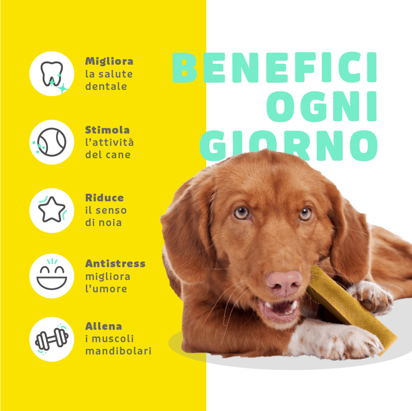 Barretta al Formaggio per Cani - immagine 3