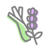 lavanda_citr_icon