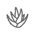 aloev_icon
