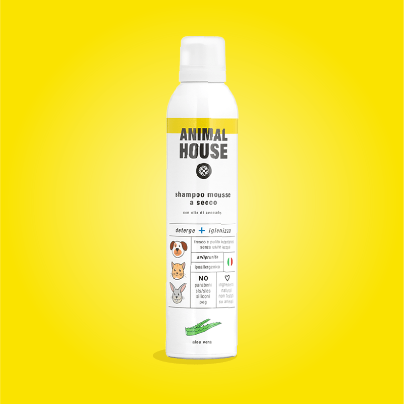 Shampoo mousse naturale a secco all'Aloe Vera
