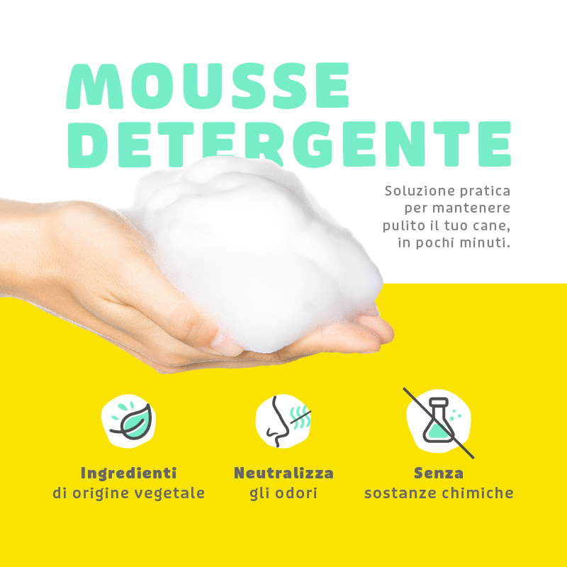 Shampoo Mousse Naturale a Secco - immagine 2