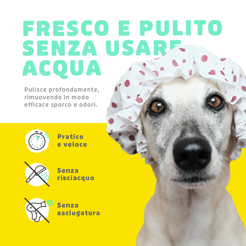 Shampoo Mousse Naturale a Secco - immagine 4