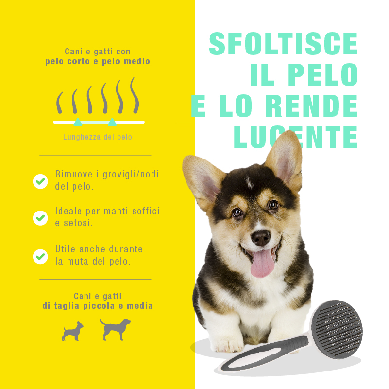 Spazzola Piccola per Toelettatura - immagine 5