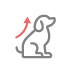circulation_icon