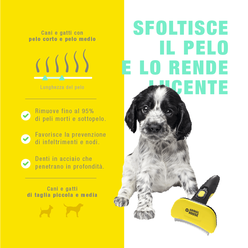 Pettine Curvo per Deshedding - immagine 4