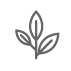 the_icon