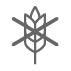 no_grain_icon
