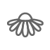 chamom_icon