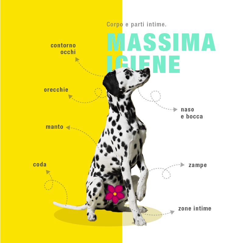 Salviette Detergenti Profumate - immagine 3