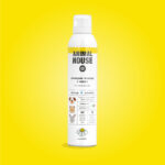 Shampoo Mousse Naturale a Secco