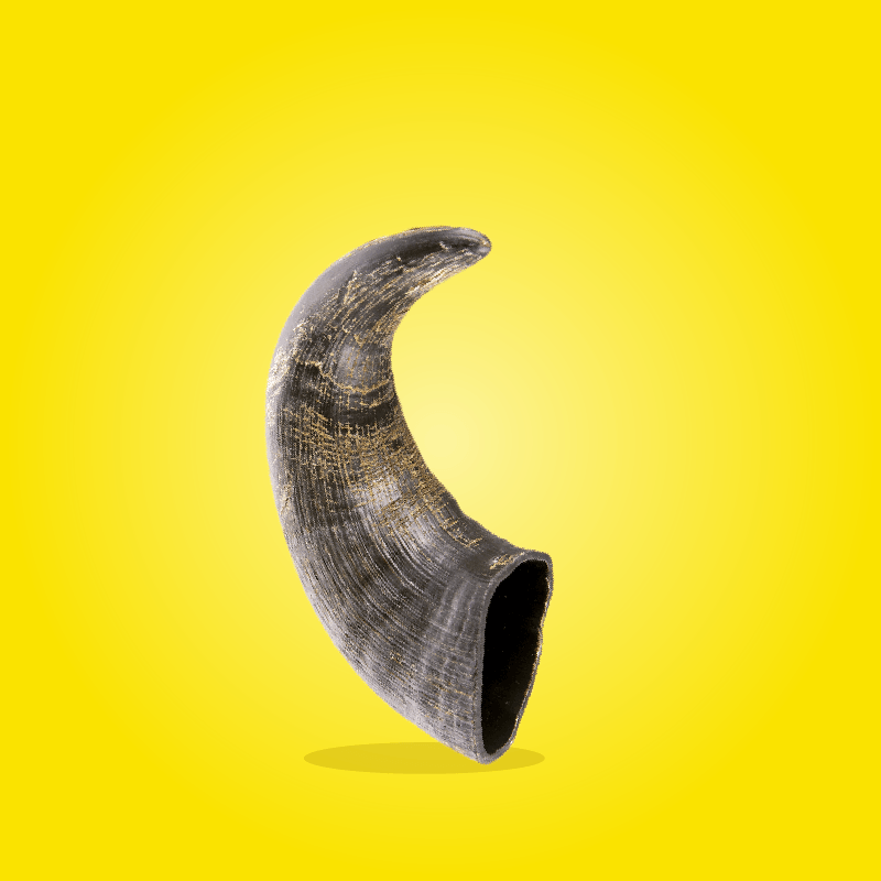 Corna di Bufalo Masticabili