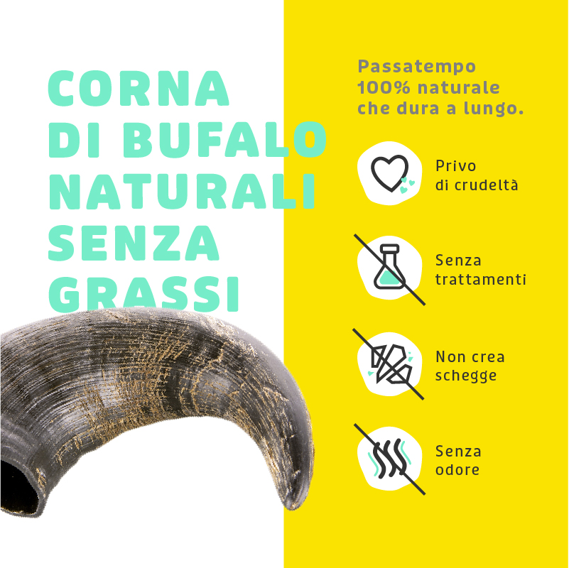 Corna di Bufalo Masticabili - immagine 2