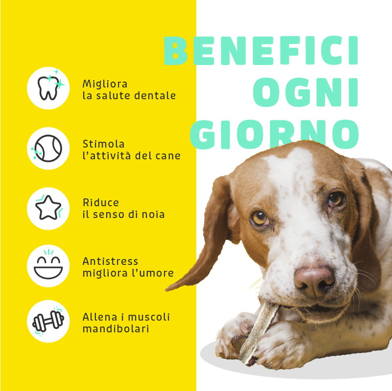 Corna di Bufalo Masticabili - immagine 3
