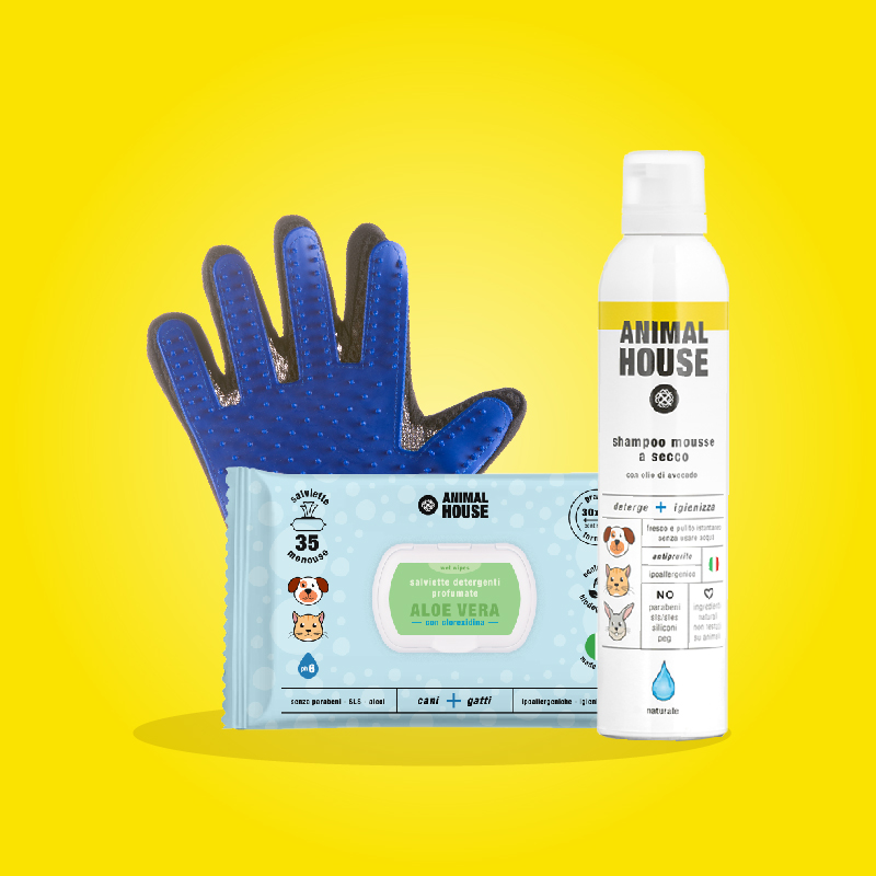 Kit igiene quotidiana Easy Clean per cani e gatti