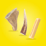 Kit Masticativi Naturali per Cani