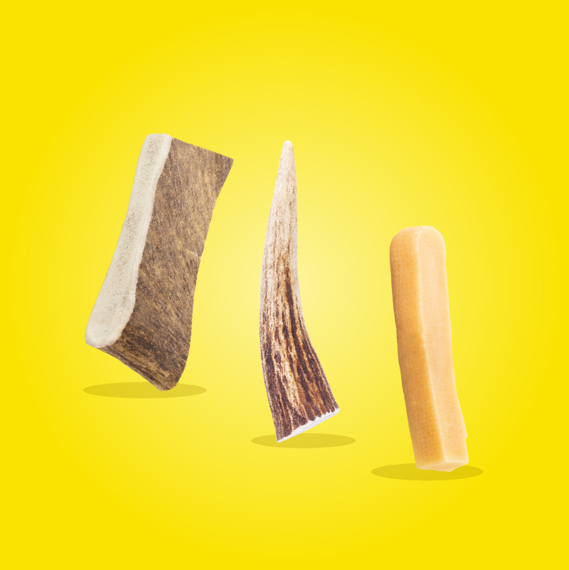 Kit masticativi naturali per cani