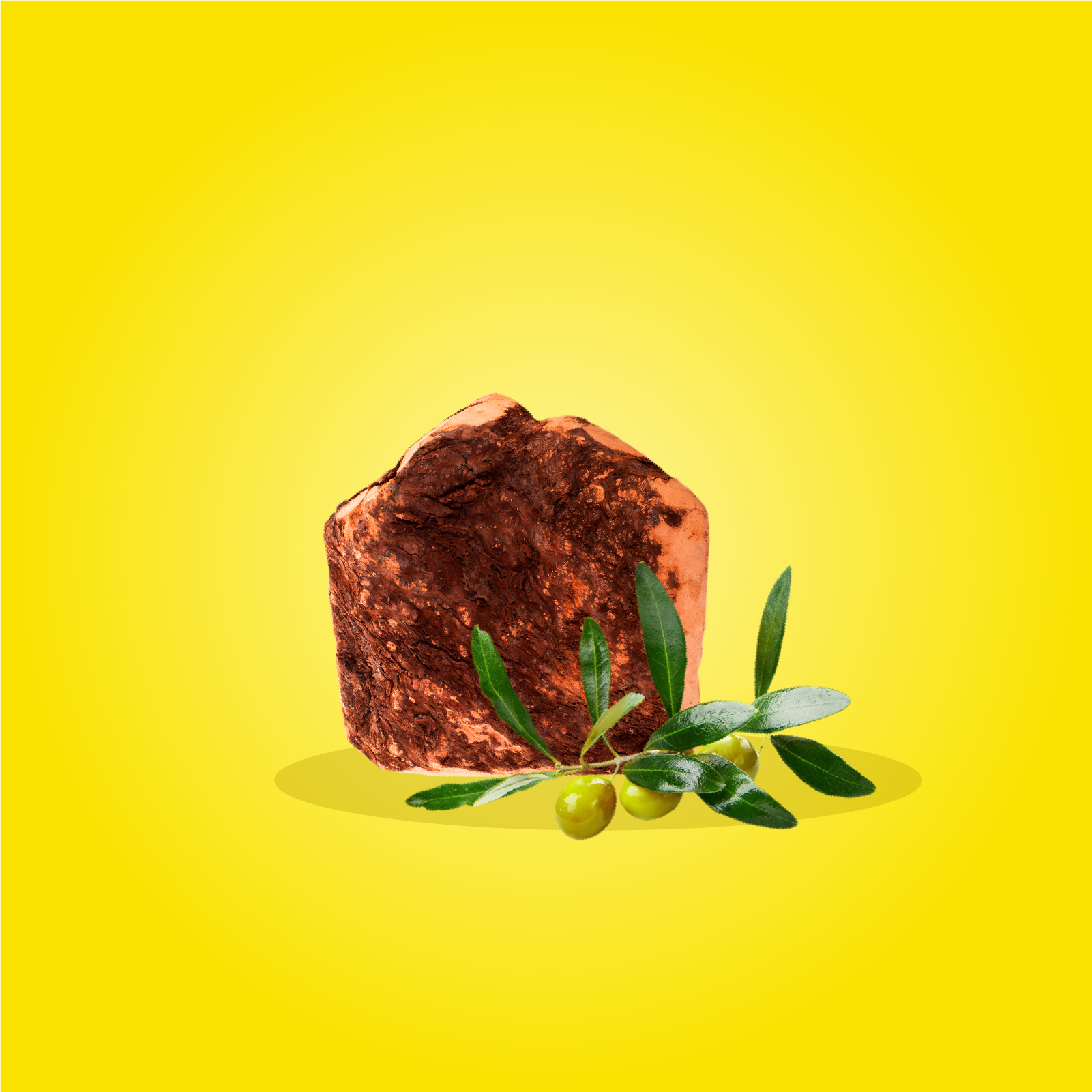 Radice di Erica con Olio di Oliva