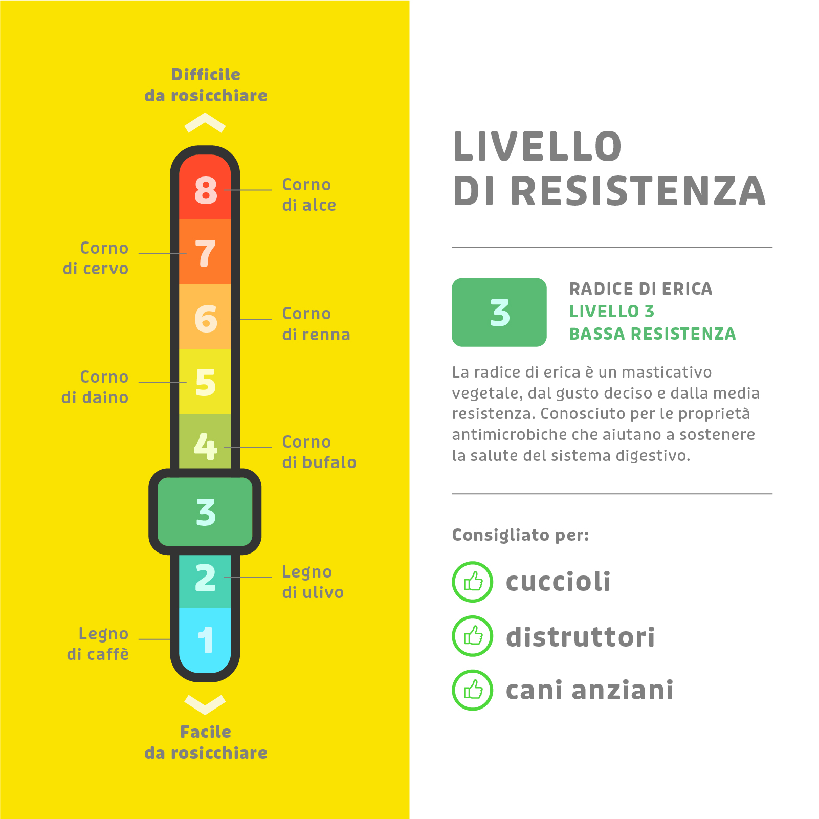 Radice di Erica con Olio di Oliva - immagine 4